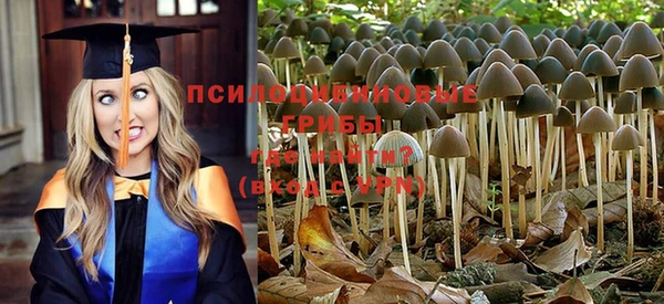 шишки Медвежьегорск