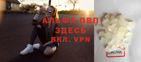 шишки Медвежьегорск