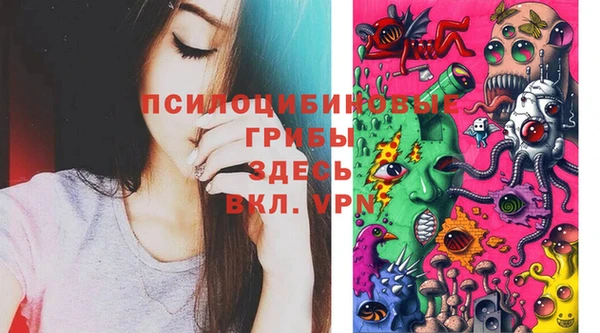 ПСИЛОЦИБИНОВЫЕ ГРИБЫ Михайлов