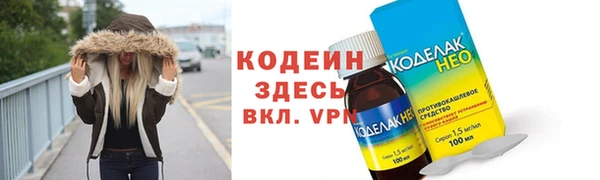 индика Волосово
