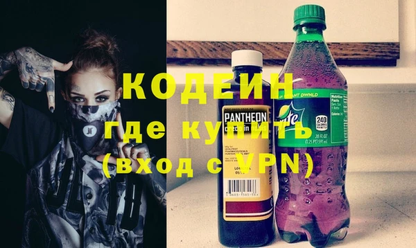 шишки Медвежьегорск