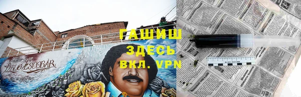 гашик Мегион
