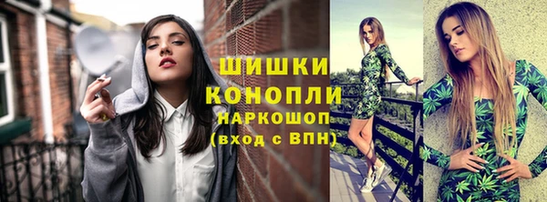 ПСИЛОЦИБИНОВЫЕ ГРИБЫ Михайлов