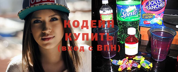 ПСИЛОЦИБИНОВЫЕ ГРИБЫ Михайлов