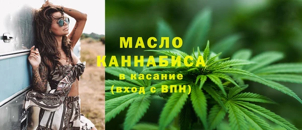 шишки Медвежьегорск