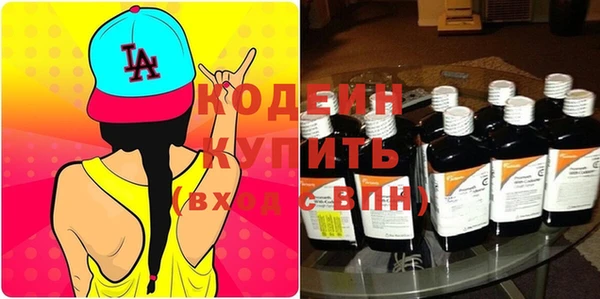 шишки Медвежьегорск