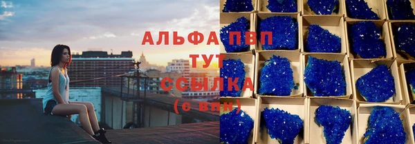 ПСИЛОЦИБИНОВЫЕ ГРИБЫ Михайлов