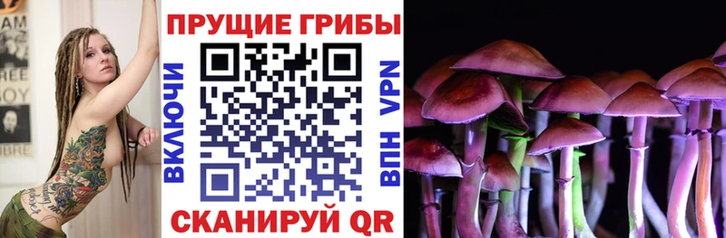 купить наркоту  Ухта  Псилоцибиновые грибы Psilocybe 